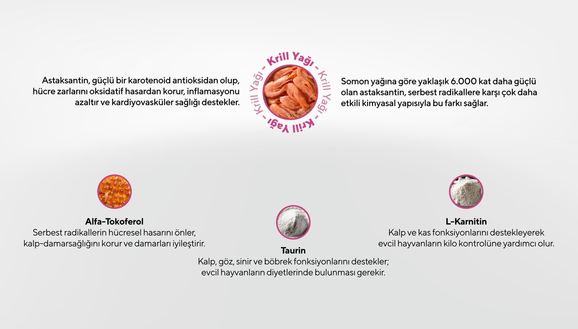 Cardiac