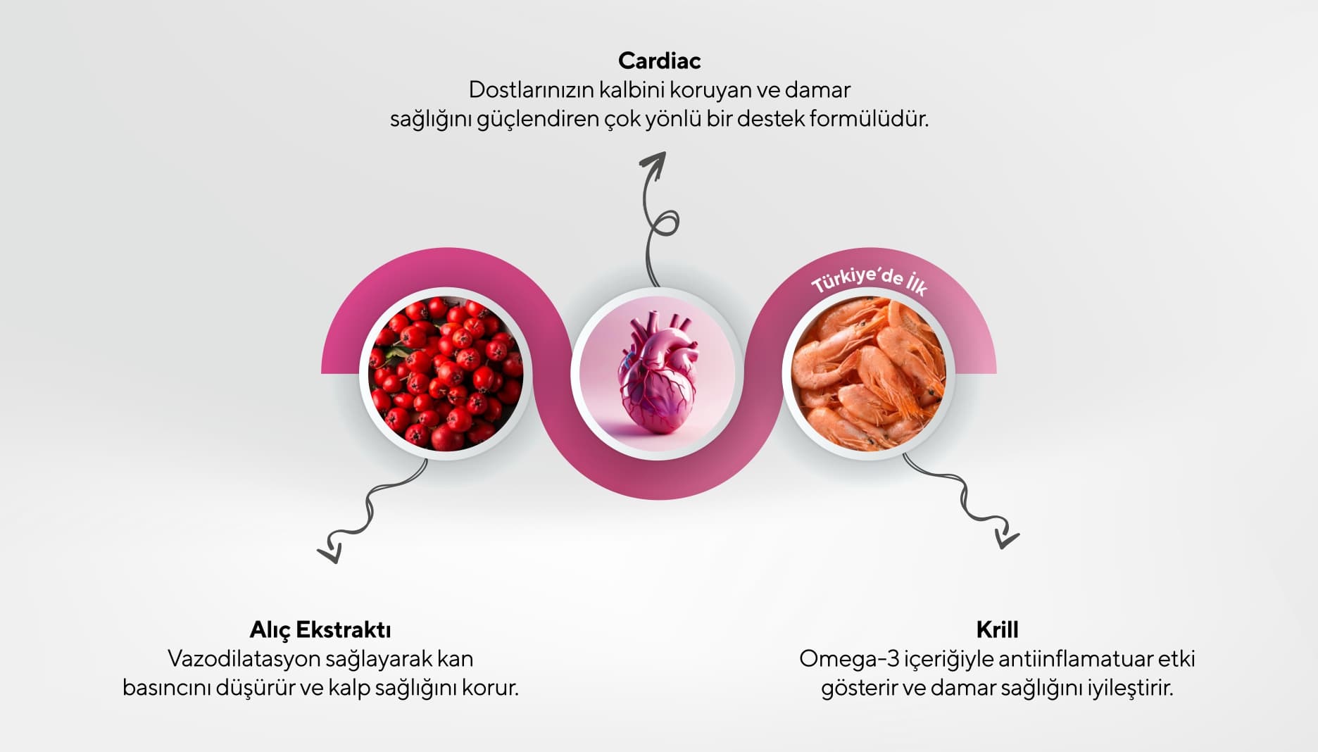 Cardiac