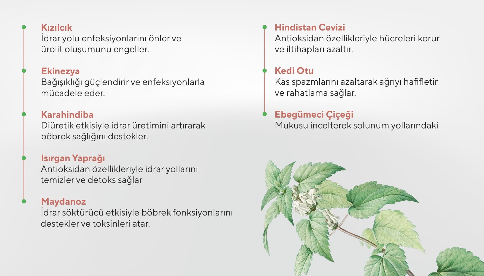 Cyctoblock