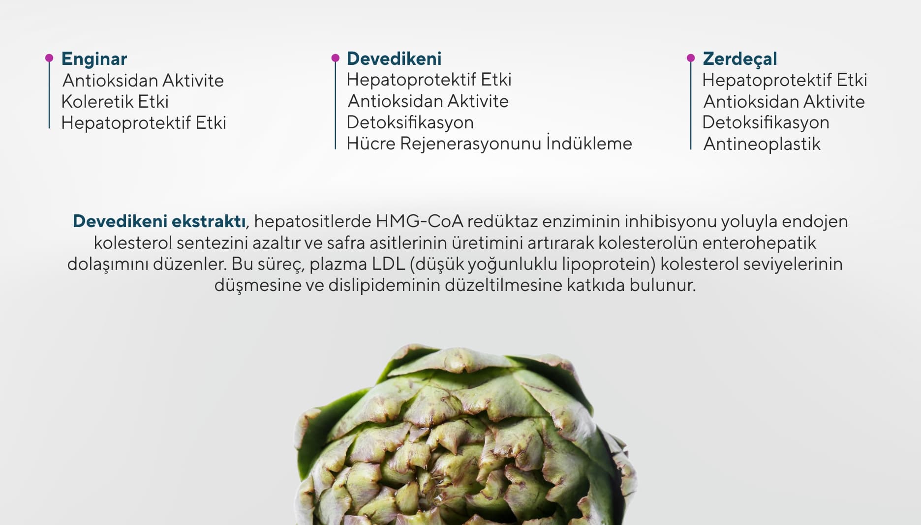 Hepalive